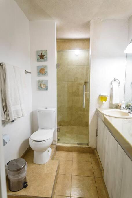 סיודד ואייס Depab Privado, Centrico,Wifi 80 Mb ,Aire Acondicionado ,Cocina, Cochera Techada, מראה חיצוני תמונה